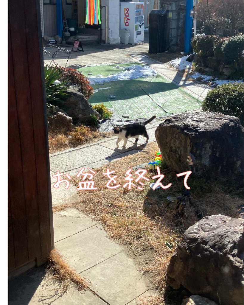 お盆を終えて